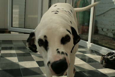 Picture 4