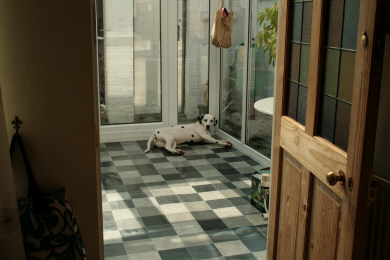 Picture 1