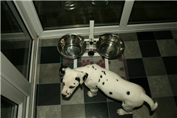 Picture 1