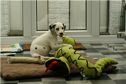 Picture 7