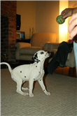 Picture 3