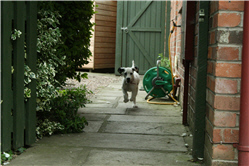 Picture 1