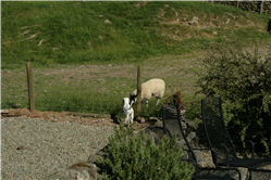 Picture 1