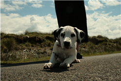 Picture 10
