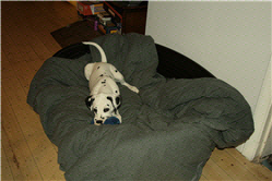 Picture 3