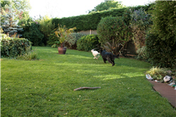 Picture 9