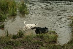 Picture 4