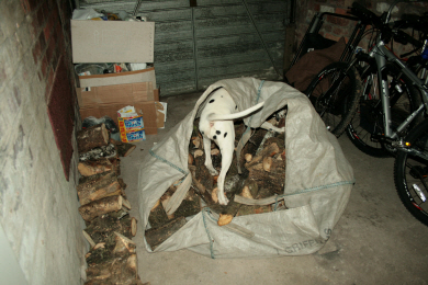 Picture 2