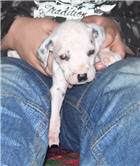 Molly Photo 1