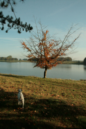 Picture 3