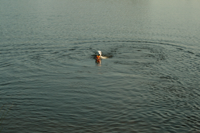 Picture 4