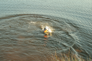 Picture 5