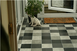 Molly Picture 3