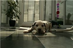 Molly Photo 11