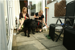 Molly Photo 2