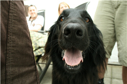 Molly Photo 12