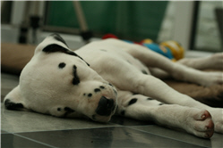 Molly Photo 6