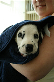 Molly Photo 2