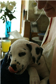 Molly Photo 3