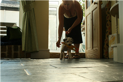 Molly Photo 6