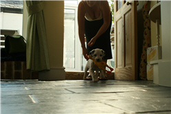 Molly Photo 7