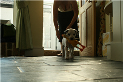 Molly Photo 8