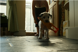 Molly Photo 9