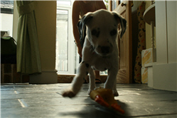 Molly Photo 10