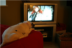 Molly Photo 17