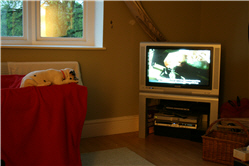 Molly Photo 18